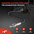 OS100 Upstream O2 Oxygen Sensor