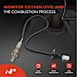 OS101 O2 Oxygen Sensor