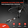 OS102 Upstream O2 Oxygen Sensor