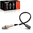 OS114 O2 Oxygen Sensor