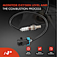OS115C Upstream Downstream O2 Oxygen Sensor