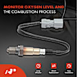 OS119N Downstream O2 Oxygen Sensor