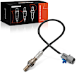 OS120 O2 Oxygen Sensor