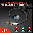 OS120 O2 Oxygen Sensor