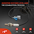 OS120C 2x Upstream O2 Oxygen Sensor