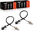 OS123 2x O2 Oxygen Sensor