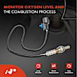 OS127C Upstream Downstream O2 Oxygen Sensor