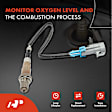 OS128C Upstream Downstream O2 Oxygen Sensor
