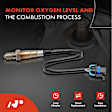 OS129C Upstream Downstream O2 Oxygen Sensor