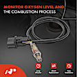 OS130 Upstream O2 Oxygen Sensor