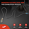 OS132C Downstream O2 Oxygen Sensor