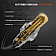 OS136 2x Upstream O2 Oxygen Sensor