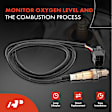 OS139C Upstream O2 Oxygen Sensor
