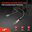 OS141 2x Upstream & Downstream O2 Oxygen Sensor