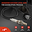 OS145 Downstream Center O2 Oxygen Sensor