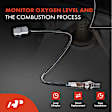 OS148 4x Upstream & Downstream O2 Oxygen Sensor