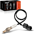 OS150C O2 Oxygen Sensor