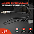 OS151 Downstream O2 Oxygen Sensor