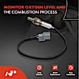 2-Pc Oxygen Sensor, Upstream & Downstream, 4-Pin, A-Premium OS152