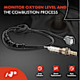 OS153 Downstream O2 Oxygen Sensor