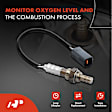 OS156 Downstream O2 Oxygen Sensor