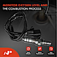 OS159 Upstream Downstream O2 Oxygen Sensor