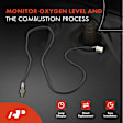 OS160C Downstream O2 Oxygen Sensor