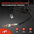 OS162 Upstream O2 Oxygen Sensor