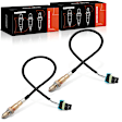 OS164 2x O2 Oxygen Sensor