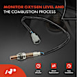 OS167 Upstream O2 Oxygen Sensor