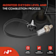 OS168C Upstream Downstream O2 Oxygen Sensor