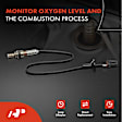 OS173C Downstream O2 Oxygen Sensor