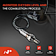 OS177C Upstream O2 Oxygen Sensor