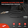 OS178 Upstream O2 Oxygen Sensor