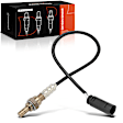 OS182 Downstream O2 Oxygen Sensor