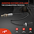 OS183 Upstream Downstream O2 Oxygen Sensor