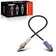 OS184 Upstream Downstream O2 Oxygen Sensor