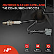 OS185C Upstream Downstream Center O2 Oxygen Sensor