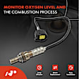 OS190C Upstream Downstream O2 Oxygen Sensor