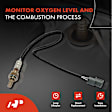 OS194 2x Downstream O2 Oxygen Sensor