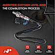 OS195 Downstream O2 Oxygen Sensor