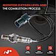 2-Pc Oxygen Sensor, Upstream Driver & Passenger, 4-Pin, A-Premium OS197