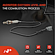 OS201C Downstream Center O2 Oxygen Sensor