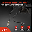 OS202 2x Downstream Left & Right O2 Oxygen Sensor