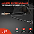 OS203C Upstream Downstream O2 Oxygen Sensor