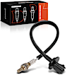 OS210C Downstream O2 Oxygen Sensor