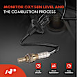 OS210C Downstream O2 Oxygen Sensor