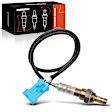 OS213C Downstream O2 Oxygen Sensor