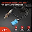 OS213C Downstream O2 Oxygen Sensor