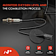 OS215 Downstream O2 Oxygen Sensor